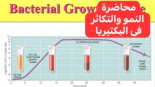 محاضرة التكاثر والنمو فى البكتيريا Bacterial Reproduction and Growth [upl. by Miko]