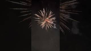 High Roller 36shot firework [upl. by Larual339]