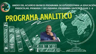 EL PROGRAMA ANALITICO [upl. by Adyol]