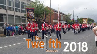 The Twelfth Newtownards 2018 Full Parade [upl. by Zenas]