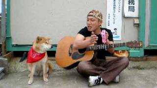 Romania song with Tambourine Dog [upl. by Asirap]