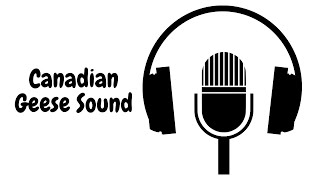 Canadian Geese Sounds Copyright Free [upl. by Oer]