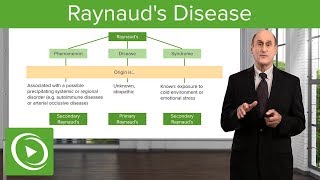 Raynauds Disease – Diseases of the Lymphatic System  Lecturio [upl. by Aidnyc423]