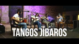 Tangos Jíbaros  John Lix Feliciano POR BORIKÉN [upl. by Ruhtua813]