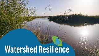 Watershed Resilience with Riparian Restoration [upl. by Dory]