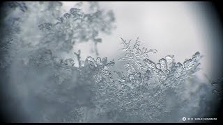 【北海道の絶景】息を飲むほど美しい雪の結晶（動画） Snow Crystal スノークリスタル [upl. by Kciredohr]