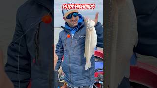 ESTOY ENCENDIDO fishing fish argentina fishingvideo amigos pesca pescaria pescador pejerrey [upl. by Beshore]