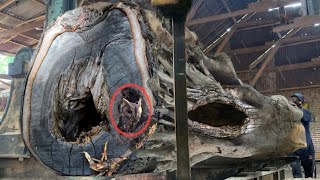 Worst case scenario 600yearold teak wood becomes owls nest at sawmill [upl. by Stelmach]