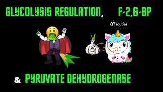 USMLE Step 1  Lesson 56  Glycolysis Regulation F26BP and Pyruvate Dehydrogenase [upl. by Pendergast]