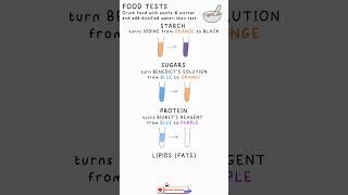 Understanding Food Tests for Cape amp CSEC BIOLOGY Episode 1 [upl. by Keeler645]