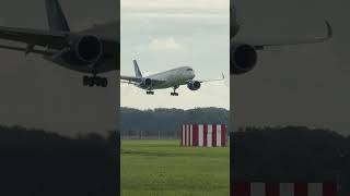 AIRBUS A350 CORENDON AIRLINES WILLEMSTAD TO AMSTERDAM LANDING SCHIPHOL  PLANE SPOTTING  ECNZF [upl. by Lowrie93]