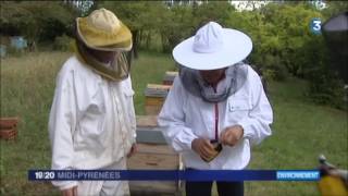 Gilles Grosmond solutions alternatives en apiculture [upl. by Crow347]