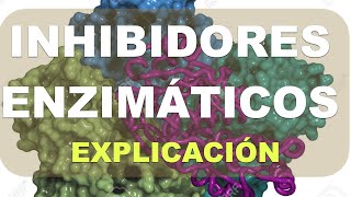 ¿Qué son los Inhibidores Enzimáticos [upl. by Ardnossak5]