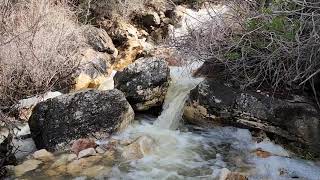 GOLDBUG HOT SPRINGS  The BEST HOT SPRINGS in Idaho [upl. by Aicia]