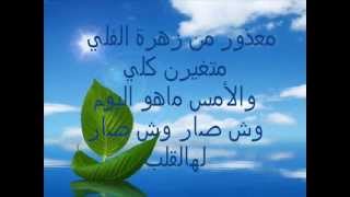 عيار  صلاح الزدجالي كلمات [upl. by Adnih]