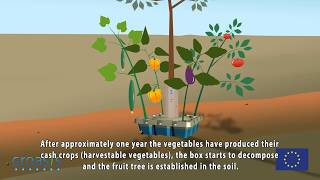 Anti desertification and reforestation with the Growboxx® plant cocoon [upl. by Drofwarc274]