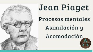 Procesos mentales Asimilación y Acomodación de Jean Piaget Error cognitivo o Desequilibrio cognitivo [upl. by Astrix]