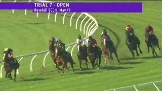 Tsarina Sophia trials at Rosehill [upl. by Park]