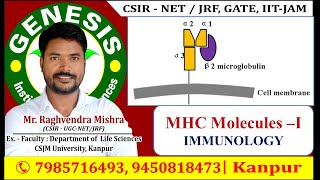 Immunology  MHC Molecules LIFE SCIENCES  GATE  CSIRNETJRF GENESIS INSTITUTE [upl. by Gasperoni881]