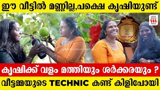 2 സെന്‍റില്‍ മൂന്ന് നില വീട് കൃഷിയിറക്കാൻ മണ്ണില്ല സ്റ്റെപ്പിൽ കൃഷിയിറക്കി വീട്ടമ്മ  Mini [upl. by Idnac]