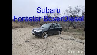 Video 255 Краткий обзор Subaru Forester 2010 20 BoxerDiesel EE20Z [upl. by Enaitsirk]