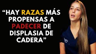 DISPLASIA de CADERA en perros URGENTE que sepas esto te EVITARÁ muchos problemas [upl. by Katha]