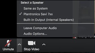 How To Fix Zoom MicrophoneAudio Problems on Windows 10 [upl. by Manchester]