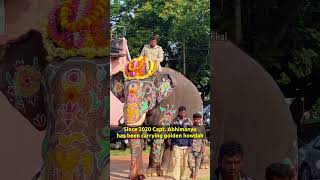 Abhimanyu elephant may carry golden howdah for fifth time in the Mysuru Dasara 2024 Jamboo Savari [upl. by Mahau]