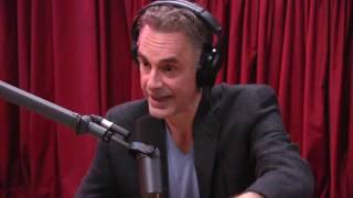 Jordan Peterson Explains the Male Dominance Hierarchy  The Joe Rogan Experience [upl. by Ami761]