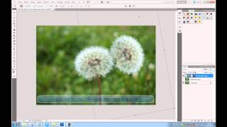 TUTO  FR Détourage sur photshop CS5 avec amélioration du contour [upl. by Wolfort]