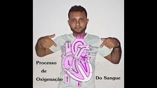 Oxigenação do sangue no corpo humano [upl. by Pail]