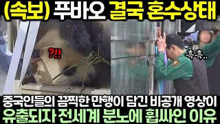 현재 중국인들의 끔찍한 만행이 담긴 푸바오 비공개 영상이 유출되자 전세계 분노에 휩싸인 이유 [upl. by Mcnelly]