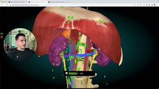 🫀Atlas 3D gratuito de ANATOMIA  Daniel Bohn [upl. by Rebmak929]