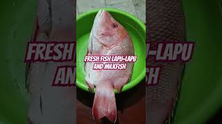 LapuLapu and milkfish fresh lapulapu trendingshort youtubeshort fypシ [upl. by Arac]