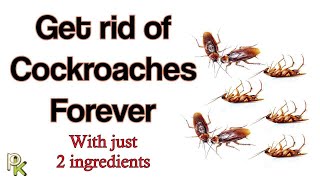 How to get rid of Cockroaches in your home with just 2 ingredients [upl. by Sakiv920]