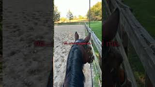 thankful for it tho ❤️ horse equestrian eventing glowup vent [upl. by Enram]