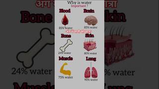 organ me water ki presentedBSC NURSING WORLD OFFICIAL [upl. by Zingale]