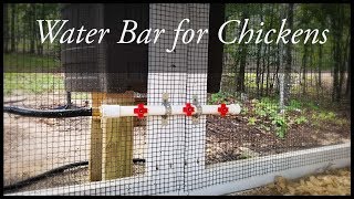 Hassle Free Chickens  DIY Water Bar [upl. by Birmingham]