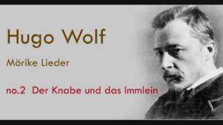 Hugo Wolf Mörike Lieder Der Knabe und das Immlein [upl. by Redleh758]