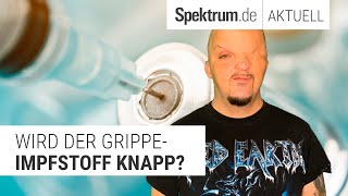 Wird der GrippeImpfstoff knapp [upl. by Annaed]