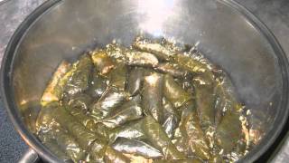 Moms Chaldean Dolma  Cooking Recipe  How to make The Best Stuffed Grape Leaves on Planet Earth [upl. by Nivahb]