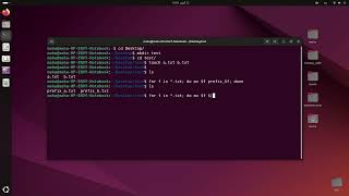 Rename multiple files from linux shell add prefix and suffix [upl. by Aggappora]