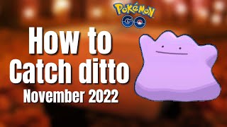 How to catch DITTO in Pokémon Go November 2022 [upl. by Kcirddec]