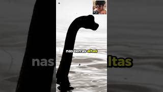 O MONSTRO DO LAGO NESS history curiosidades monster misterio shorts [upl. by Yaluz]