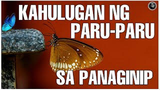 KAHULUGAN NG PARU PARU SA PANAGINIP ALAMIN Bhes Tv [upl. by Deborah]