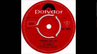 THE CARROLLS  SURRENDER YOUR LOVE1966 45polydor 56081wmv [upl. by Guntar]