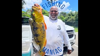 I CAUGHT THE BIGGEST PEACOCK BASS [upl. by Beyer]