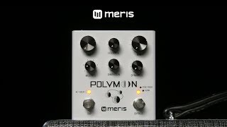 Meris Polymoon Delay Pedal  Gear4music demo [upl. by Fitzger425]