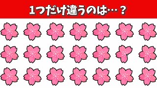 徐々に難しくなる★脳トレ【桜編】1つだけ違うのは？【認知症予防脳活間違い探し】第520回 [upl. by Percival]