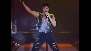 Chayanne  Concierto Tour Provócame 1992 [upl. by Towbin990]